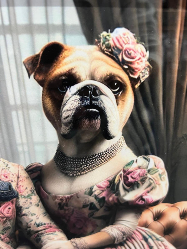 Black framed Bulldog couple in a suit on couch picture