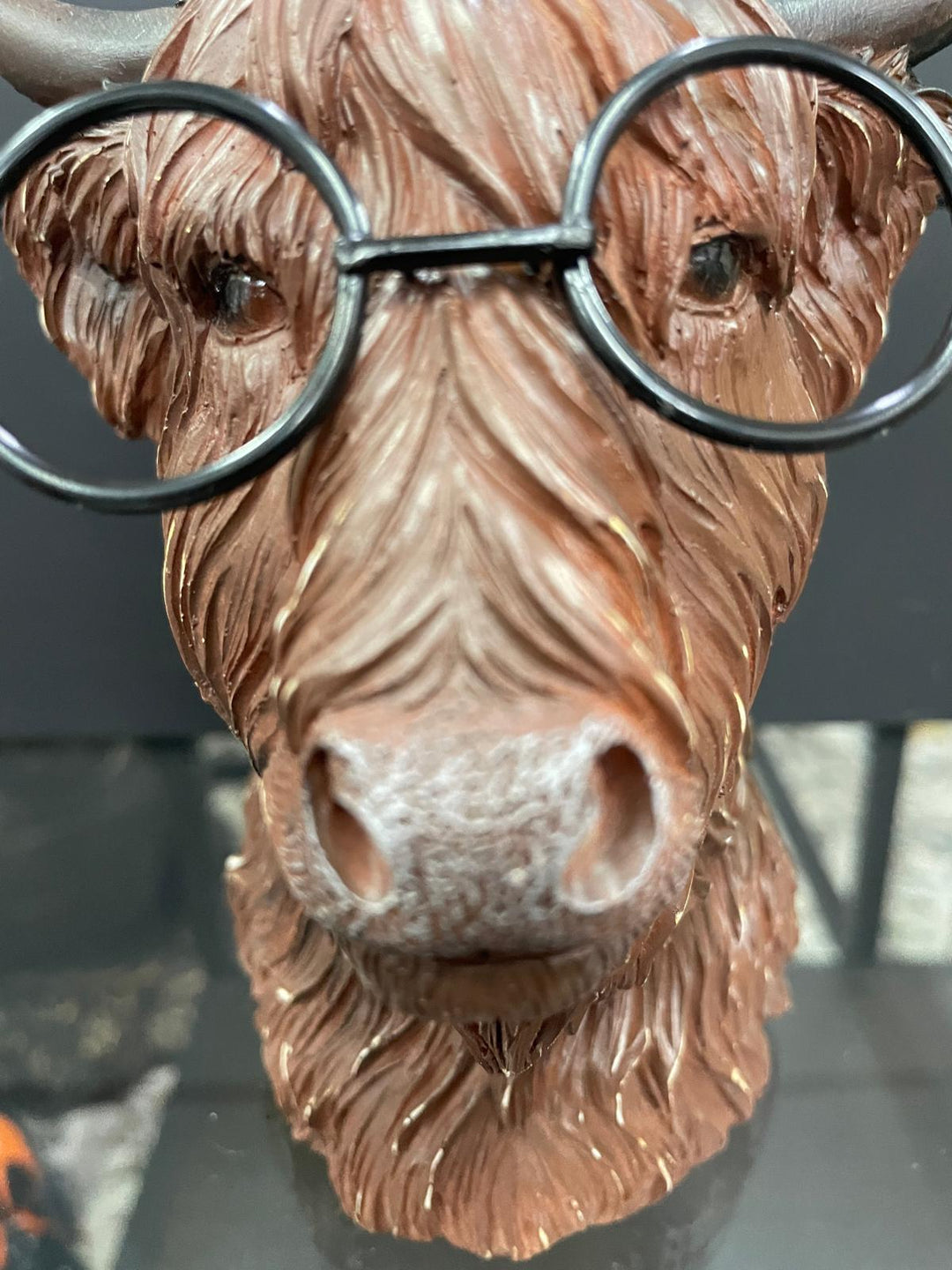 Highland Cow bust wearing glasses brown resin ornament decorative home decor