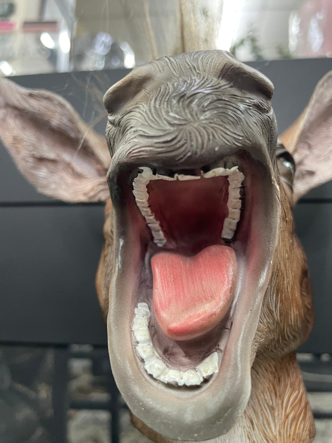 Donkey laughing head bust brown resin ornament