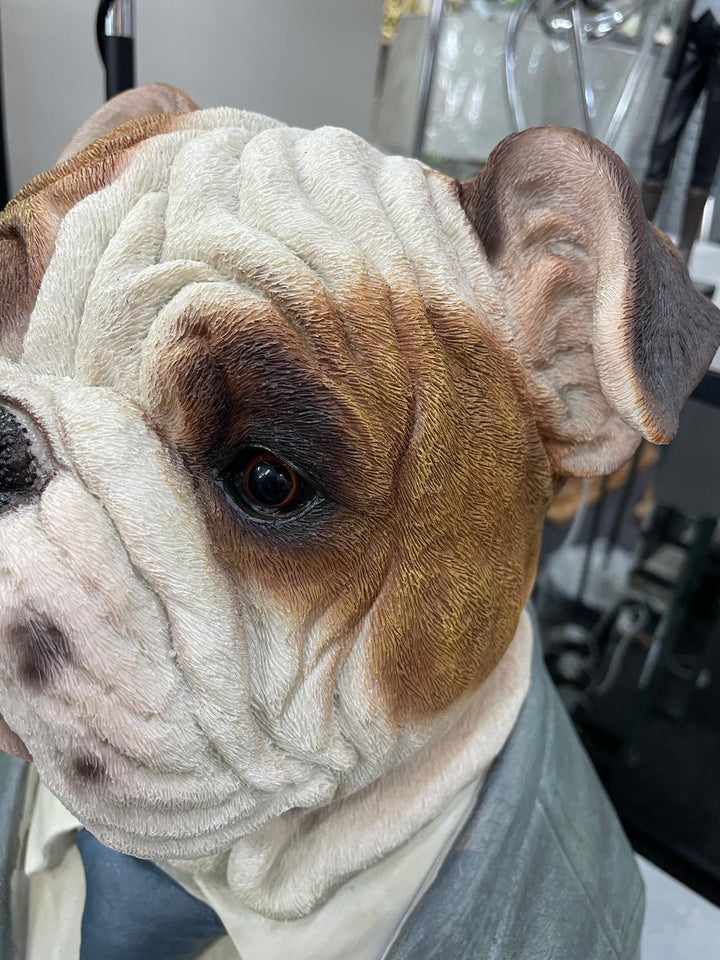 Bulldog Bust Resin Ornament in Suit Quirky Home Décor