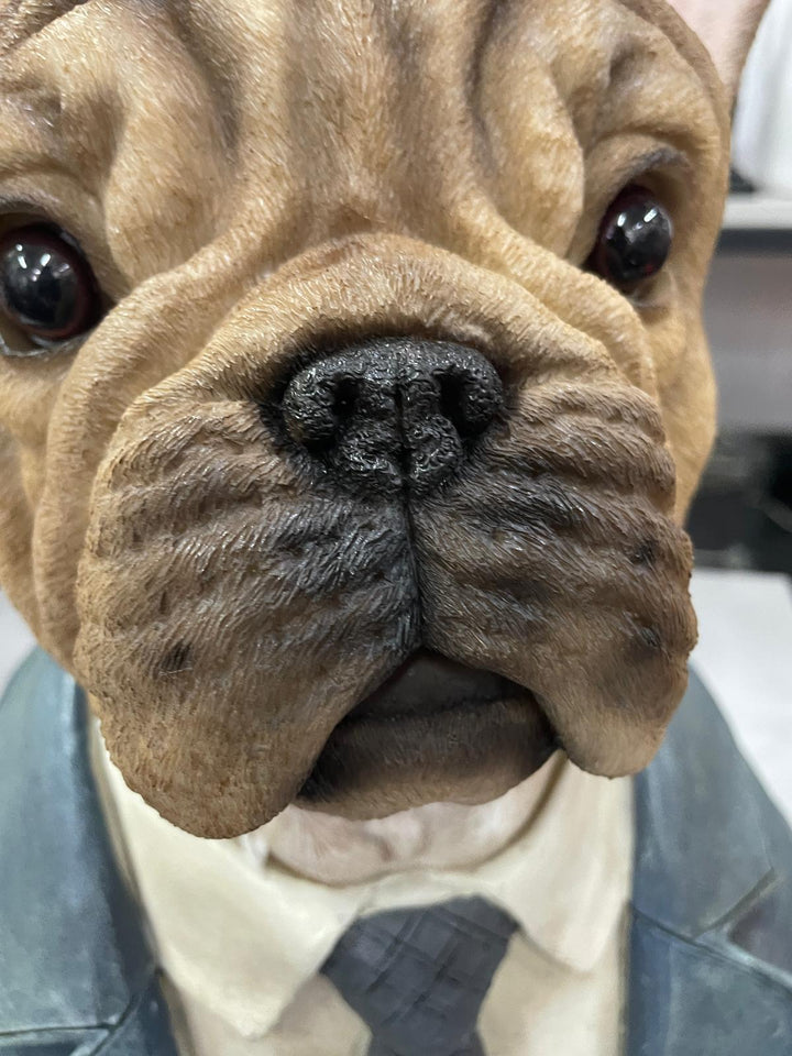 Large French Bulldog bust brown resin wearing suit ornament