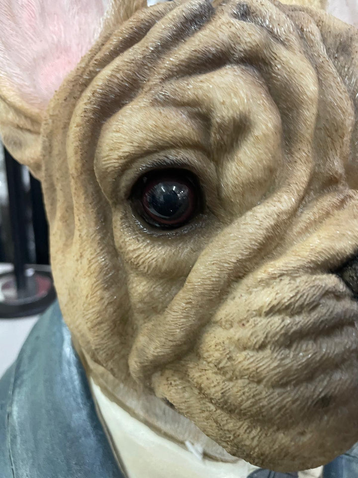 Large French Bulldog bust brown resin wearing suit ornament