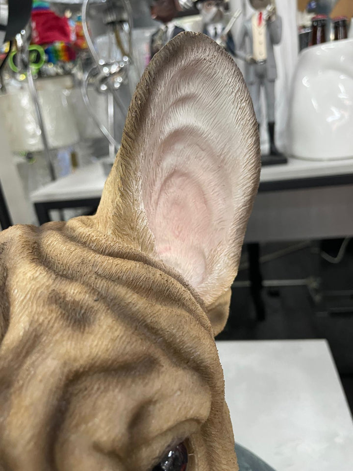 Large French Bulldog bust brown resin wearing suit ornament