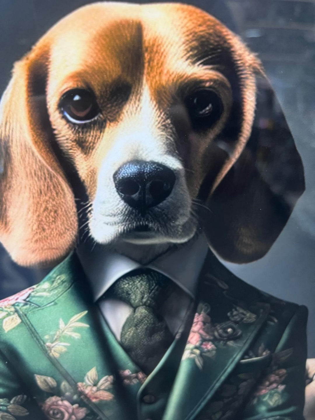 Black & gold step framed Beagle dog in green floral suit picture