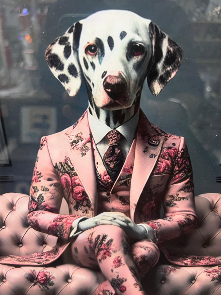 2 Tone Black Chrome step framed dalmatian dog in pink blue suit picture