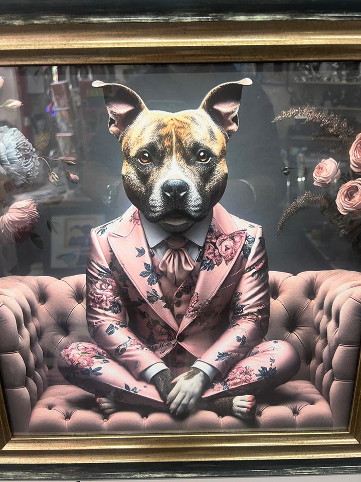 Black & gold step framed Staffy dog in pink floral suit picture