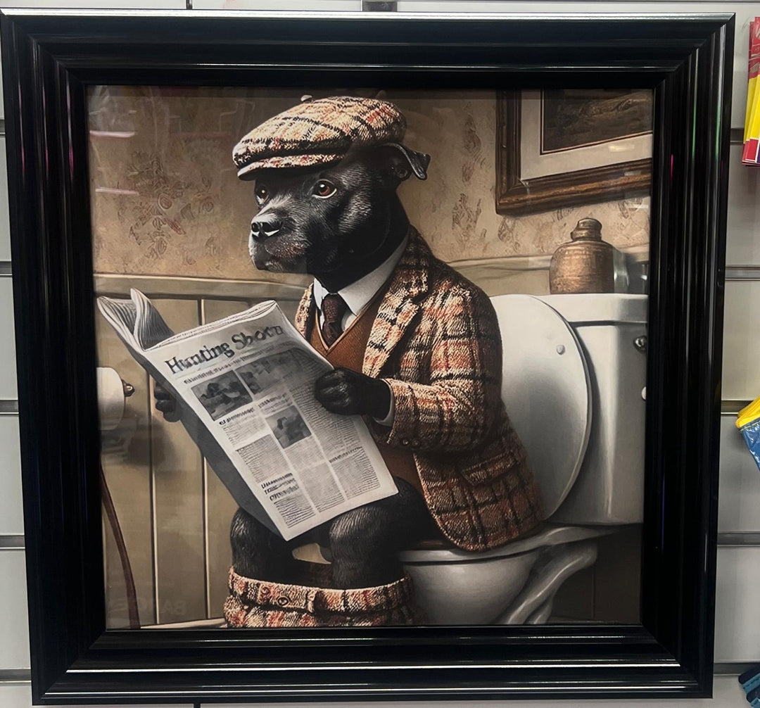 Black Gold step framed Staffy dog checked suit on toilet newspaper picture