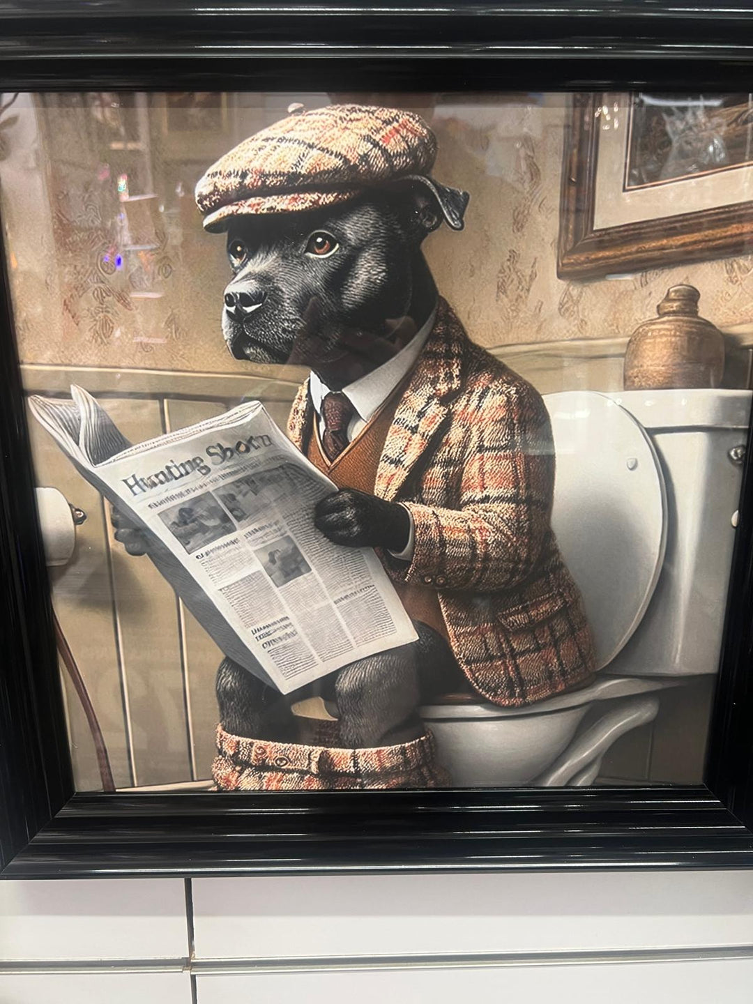 Black Gold step framed Staffy dog checked suit on toilet newspaper picture