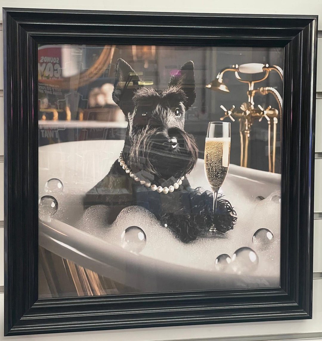 Black framed black Schnauzer dog bubble bath picture