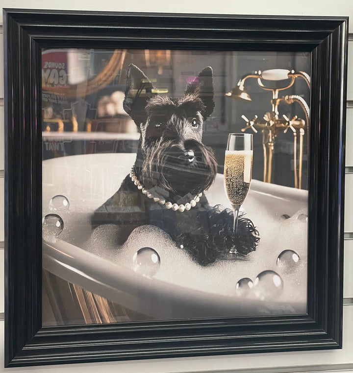 Black framed black Schnauzer dog bubble bath picture