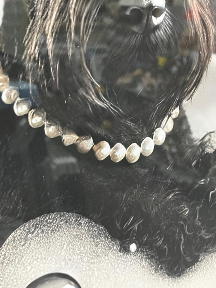 Black framed black Schnauzer dog bubble bath picture
