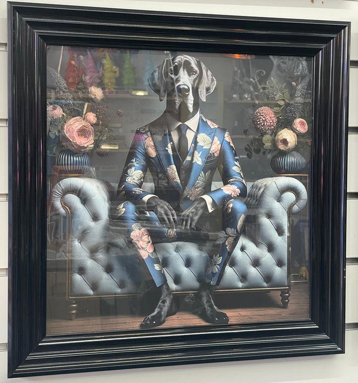 Black step framed Great Dane dog in blue floral suit picture