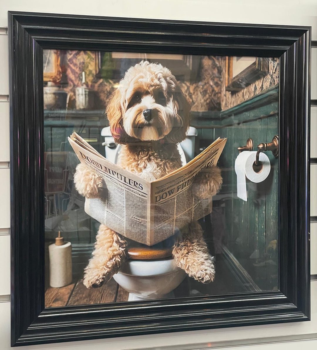 Black and Black & gold step frame Cocka Poo dog on toilet seat newspaper picture