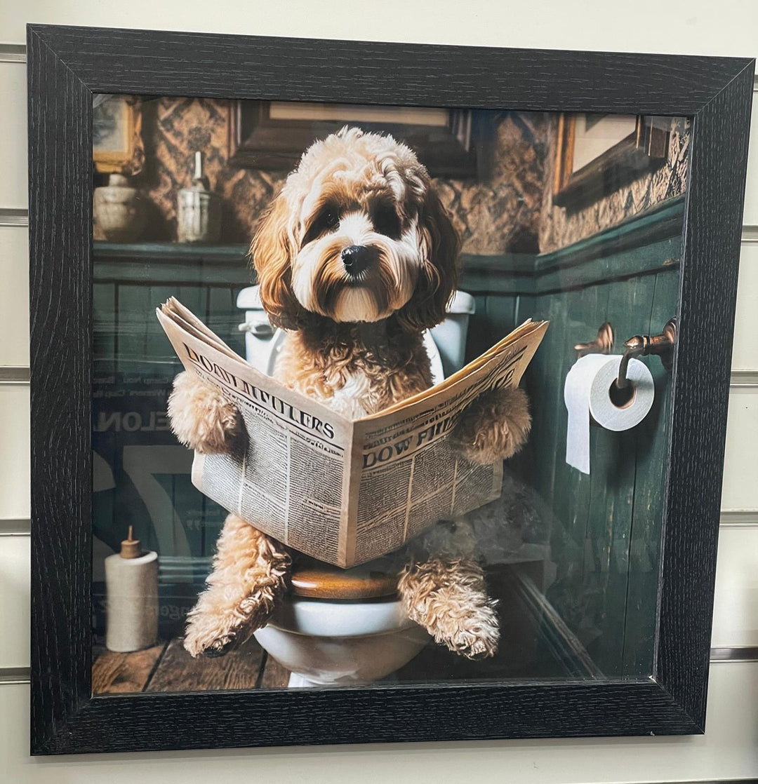 Black and Black & gold step frame Cocka Poo dog on toilet seat newspaper picture