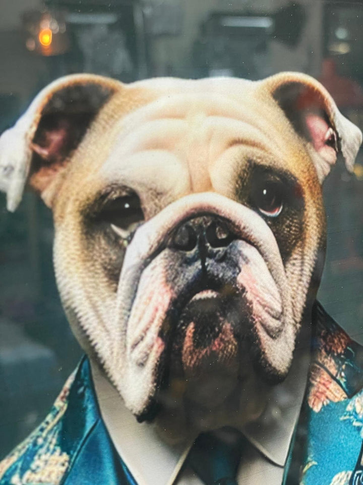 2 Tone Black & Gold step frame Bulldog floral blue suit picture