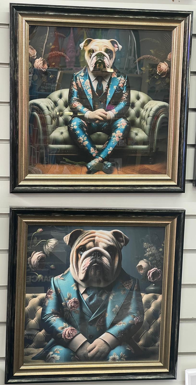 2 Tone Black & Gold step frame Bulldog floral blue suit picture