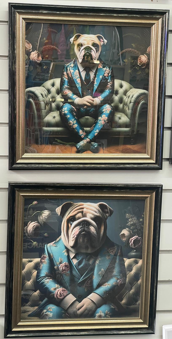 2 Tone Black & Gold step frame Bulldog floral blue suit picture