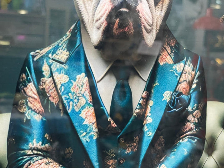 2 Tone Black & Gold step frame Bulldog floral blue suit picture