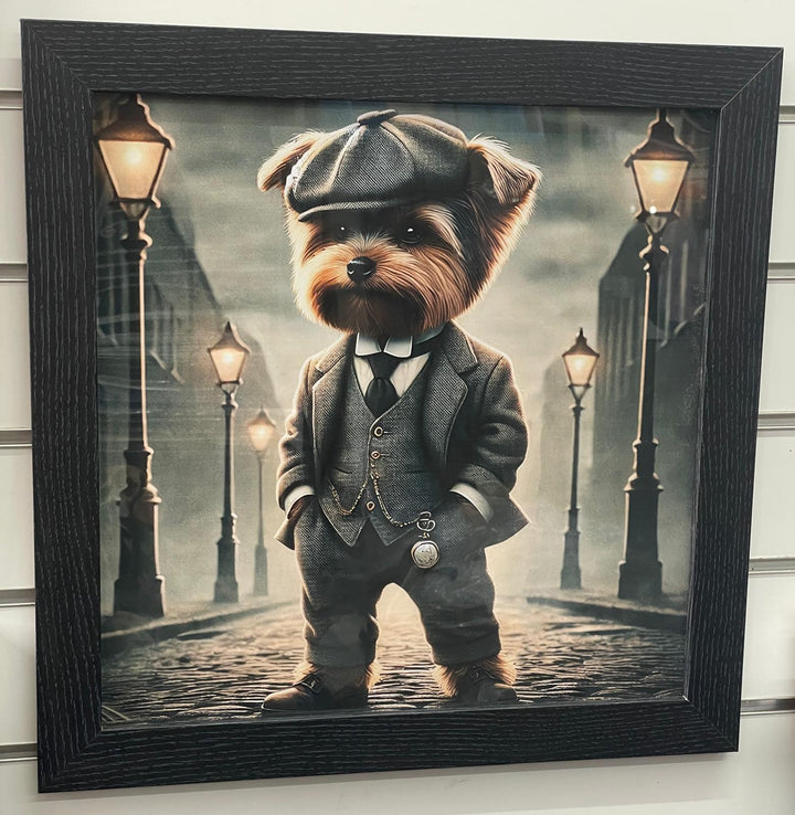 Black framed Yorkshire Terrier dog in a suit & hat picture