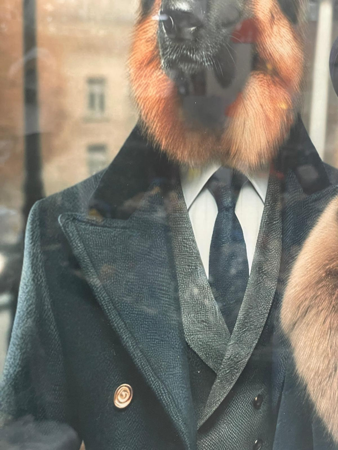 Black framed German Sheperd couple in suit picture