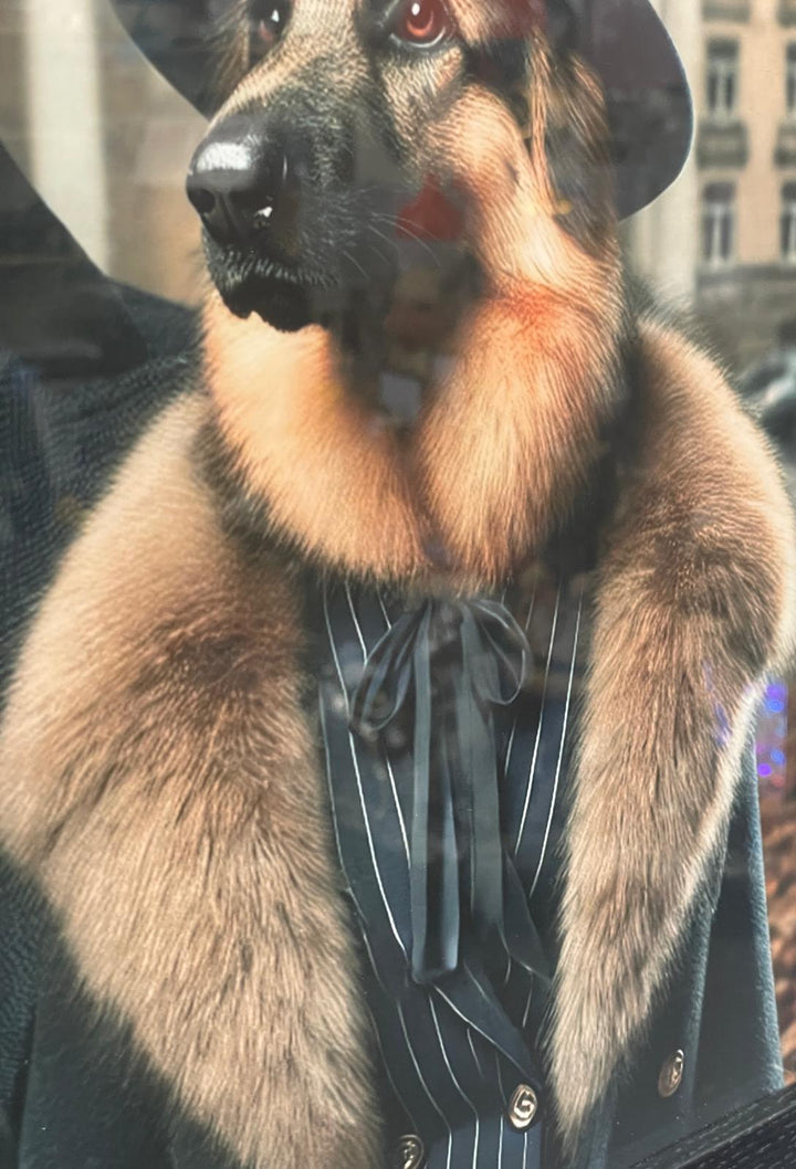 Black framed German Sheperd couple in suit picture