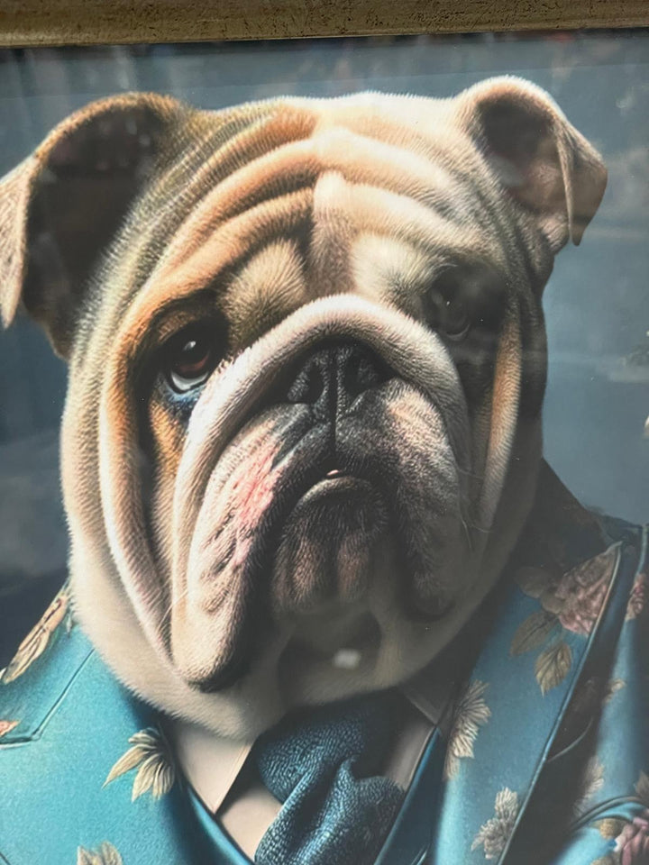 2 Tone Black & Gold step frame Bulldog floral blue suit picture