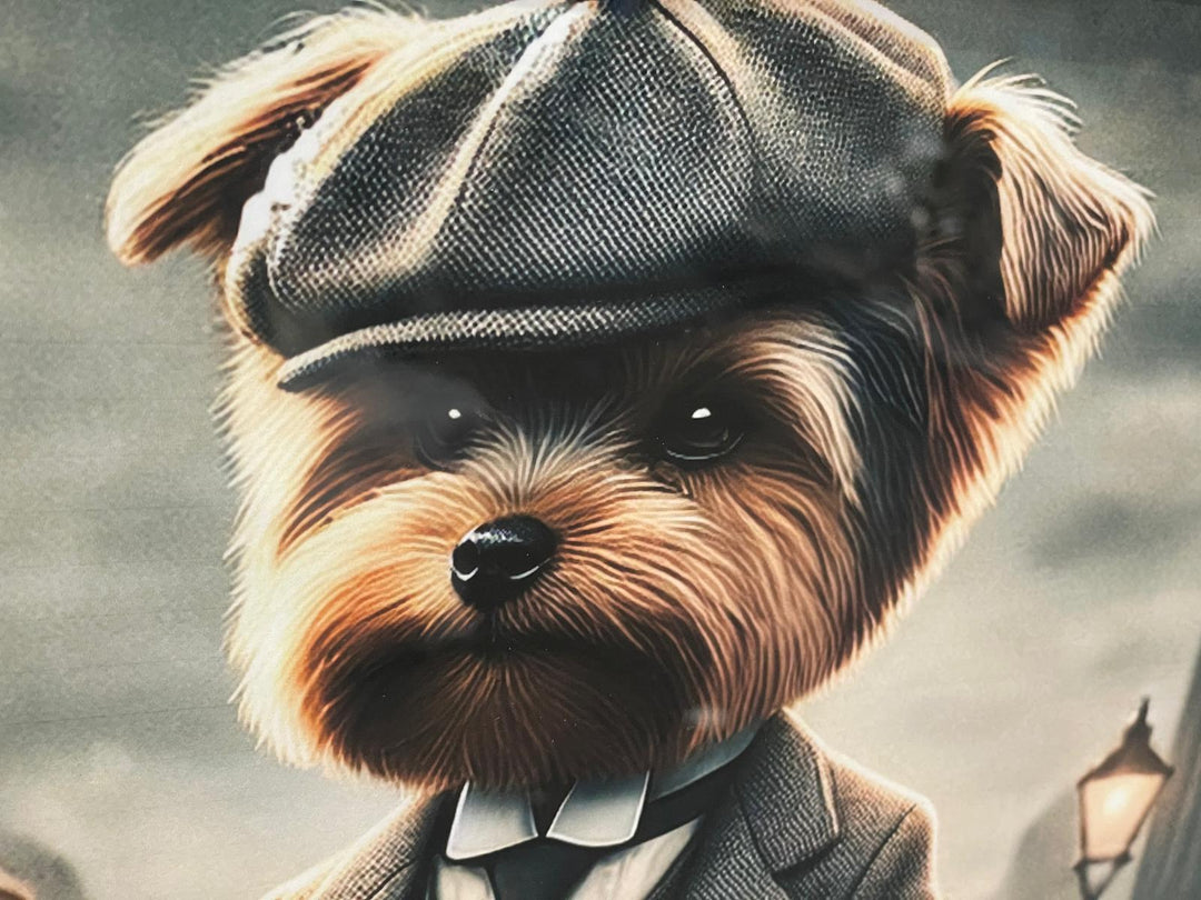 Black framed Yorkshire Terrier dog in a suit & hat picture