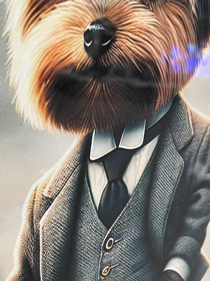 Black framed Yorkshire Terrier dog in a suit & hat picture