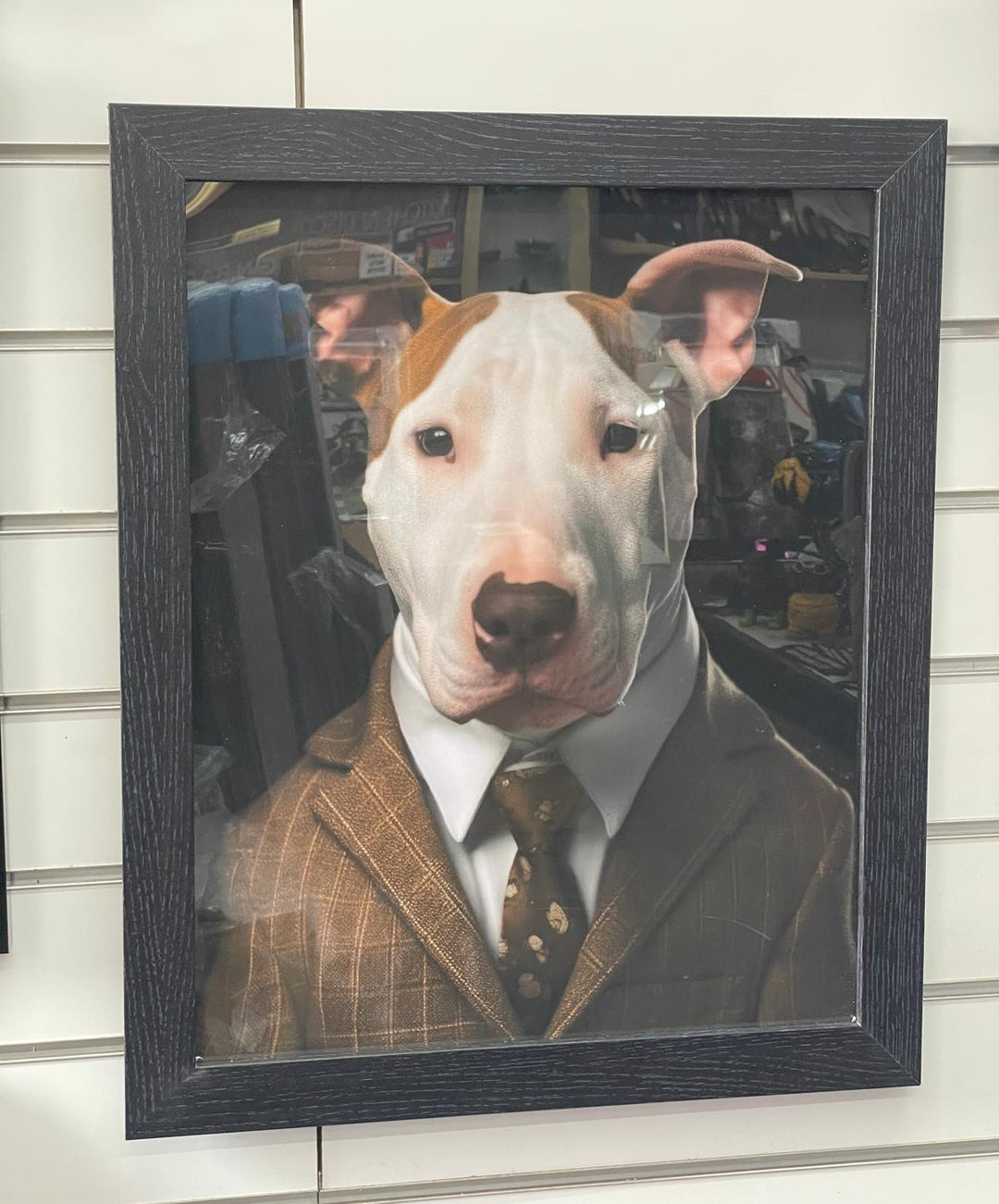 Black framed Whippet dog in a brown suit Glass of wine picture