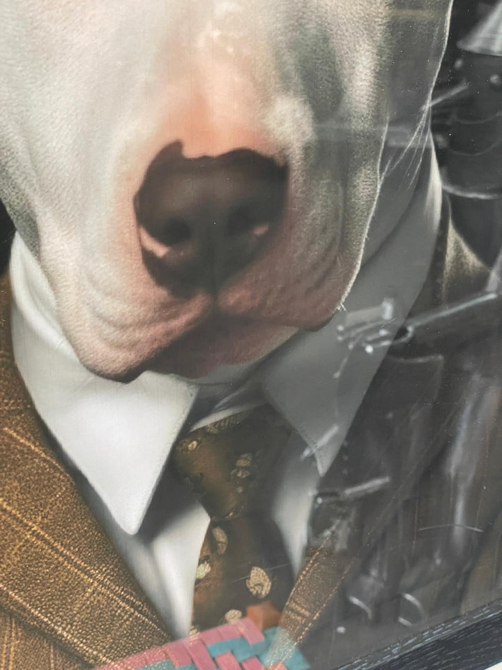 Black framed Englush Bull Terrier dog in a brown suit picture