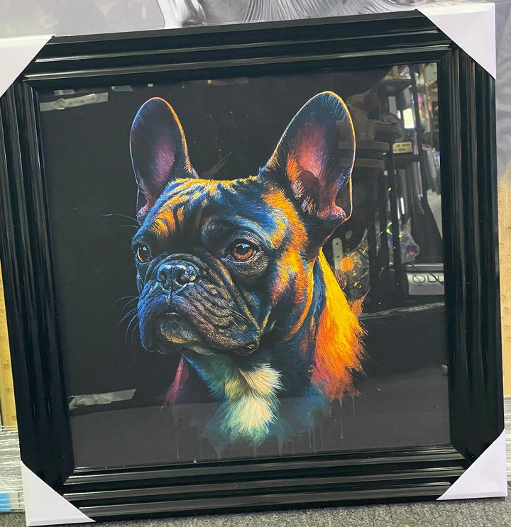 Black step framed Multi colour dog breeds splash of colour pictures wall art