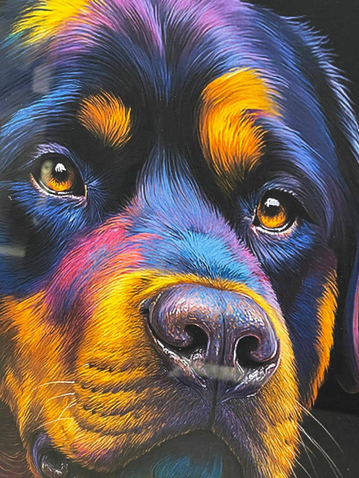 Black step framed Multi colour dog breeds splash of colour pictures wall art