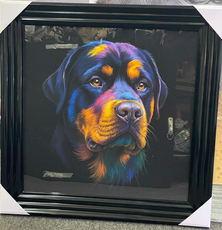 Black step framed Multi colour dog breeds splash of colour pictures wall art