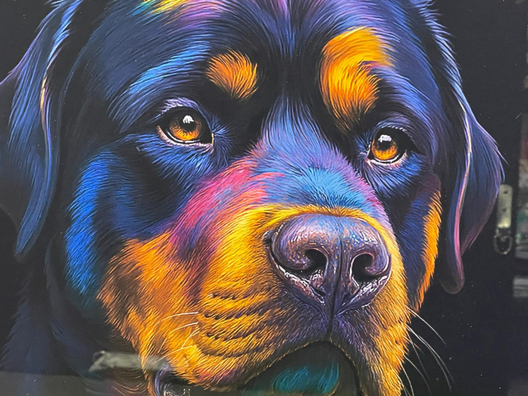 Black step framed Multi colour dog breeds splash of colour pictures wall art