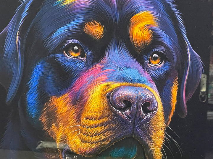 Black step framed Multi colour dog breeds splash of colour pictures wall art