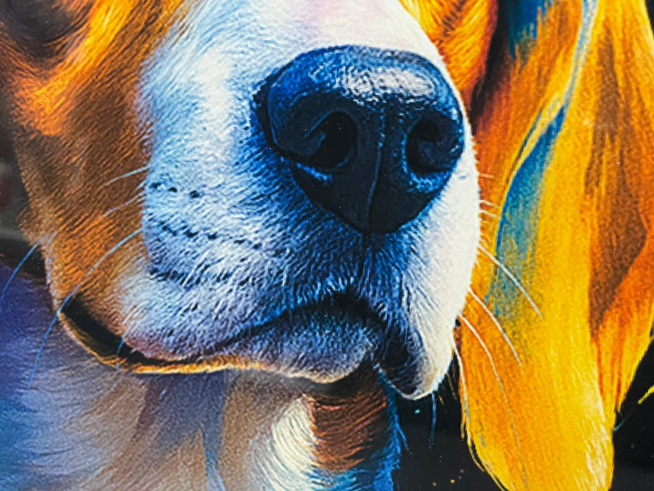 Black step framed Multi colour dog breeds splash of colour pictures wall art