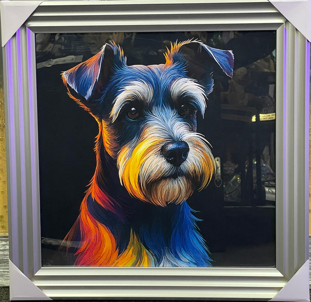 Silver step framed Multi colour dog breeds splash of colour pictures wall art