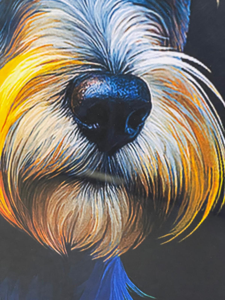 Silver step framed Multi colour dog breeds splash of colour pictures wall art