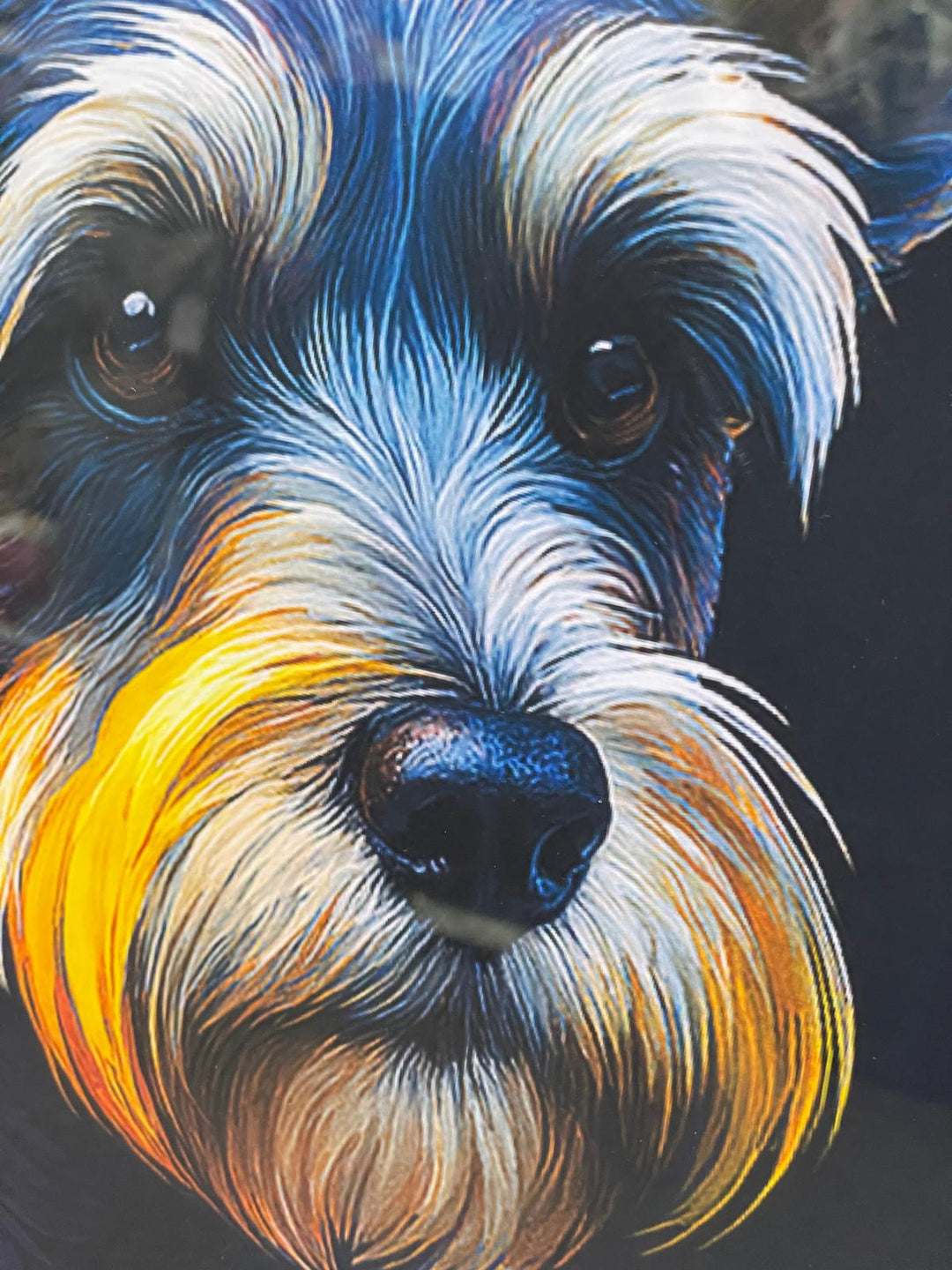 Silver step framed Multi colour dog breeds splash of colour pictures wall art