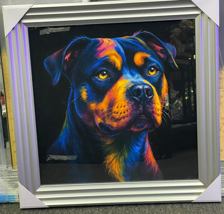 Silver step framed Multi colour dog breeds splash of colour pictures wall art