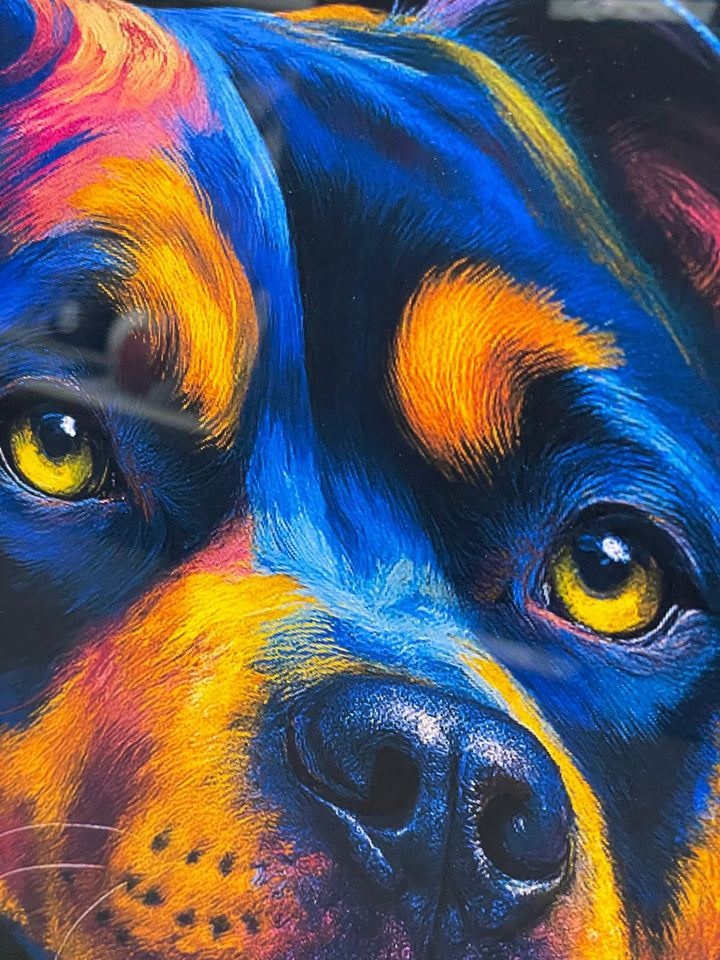 Silver step framed Multi colour dog breeds splash of colour pictures wall art