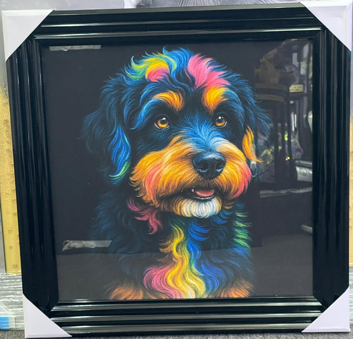 Black step framed Multi colour dog breeds splash of colour pictures wall art