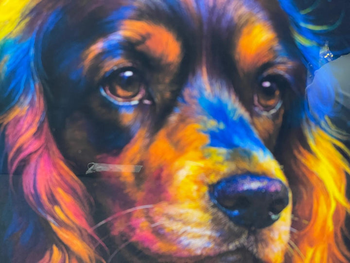 Silver step framed Multi colour dog breeds splash of colour pictures wall art