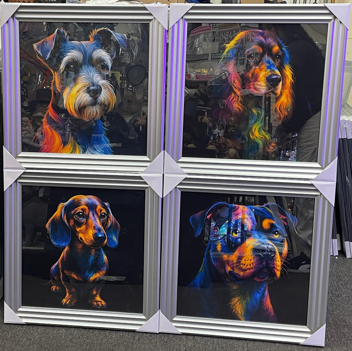 Silver step framed Multi colour dog breeds splash of colour pictures wall art