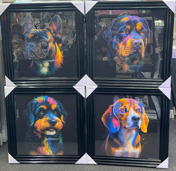 Black step framed Multi colour dog breeds splash of colour pictures wall art