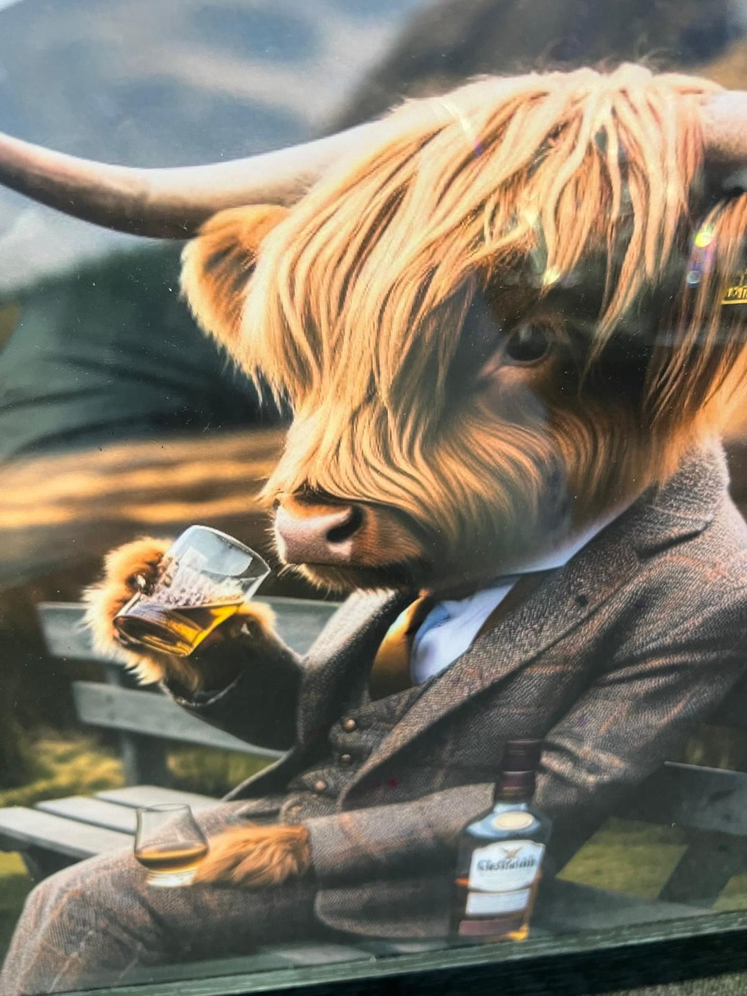 Highland Cow black frame picture Glenfiddich brown bottle & glass bench