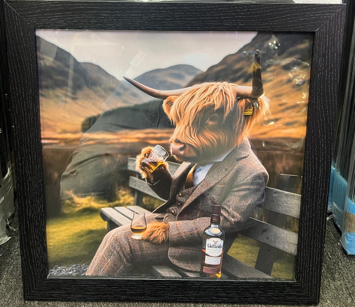 Highland Cow black frame picture Glenfiddich brown bottle & glass bench