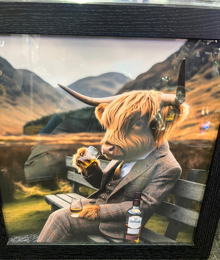 Highland Cow black frame picture Glenfiddich brown bottle & glass bench