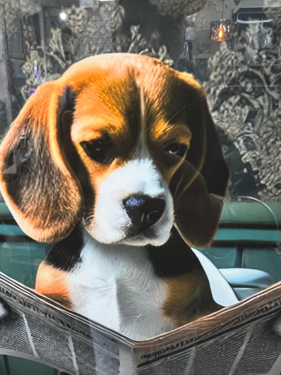 Framed Black & Gold And Silver Beagle dog picture Newspaper on the toilet