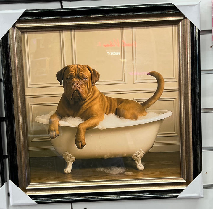 Black & Gold framed Bordeaux, French Mastiff picture